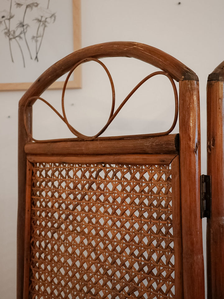 felix-paravent-rotin-21-5