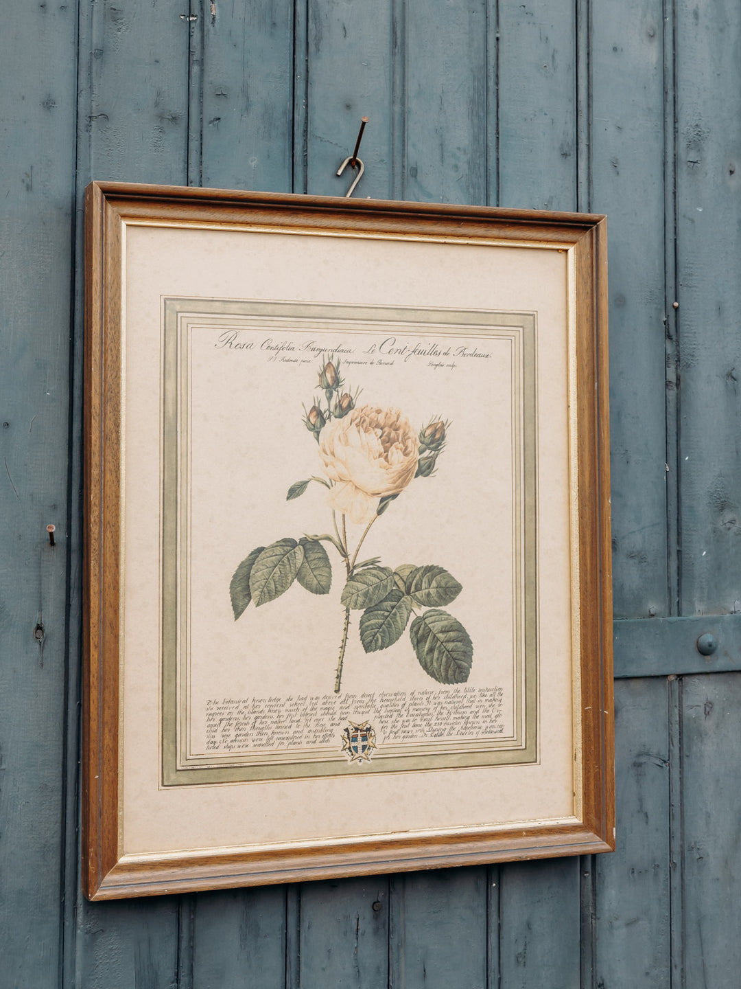 nina-toile-toile-301-3