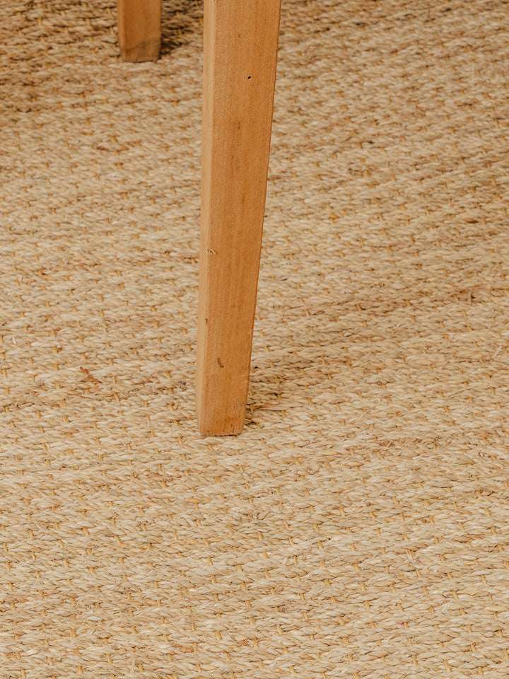 edouard-bureau-bois-493-9