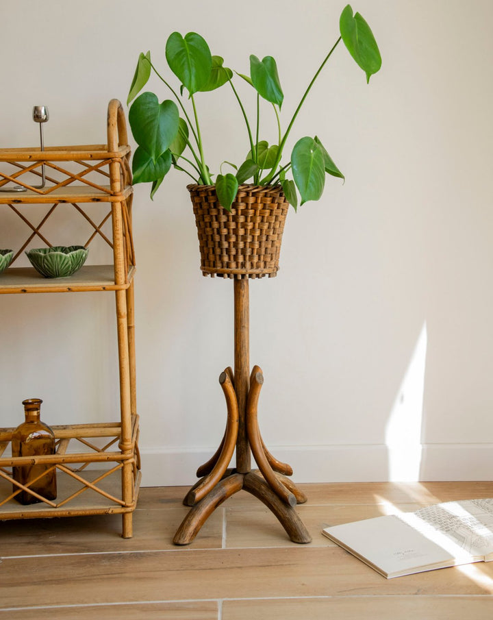 ariel-porte-plante-bois-549-1