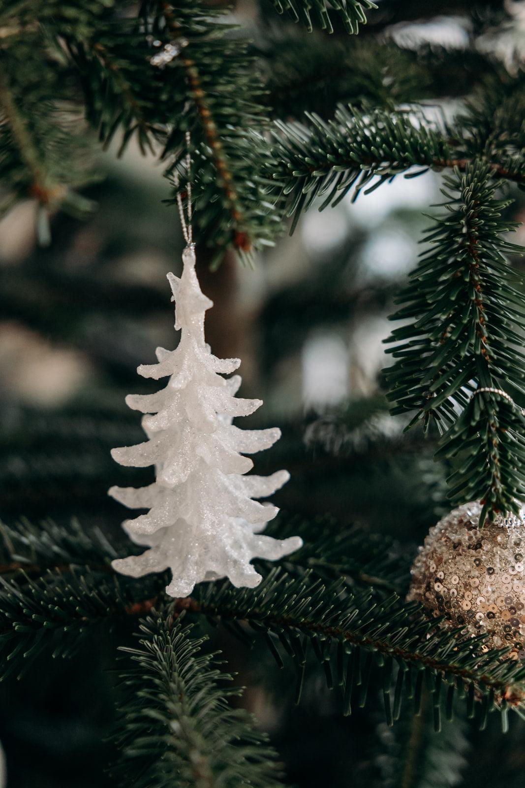 Marc, le petit sapin - Debongout