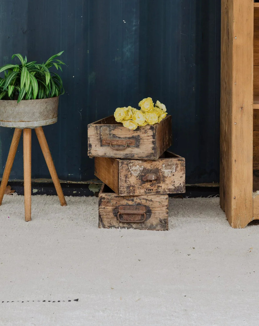 ambroise-panier-bois-837-1