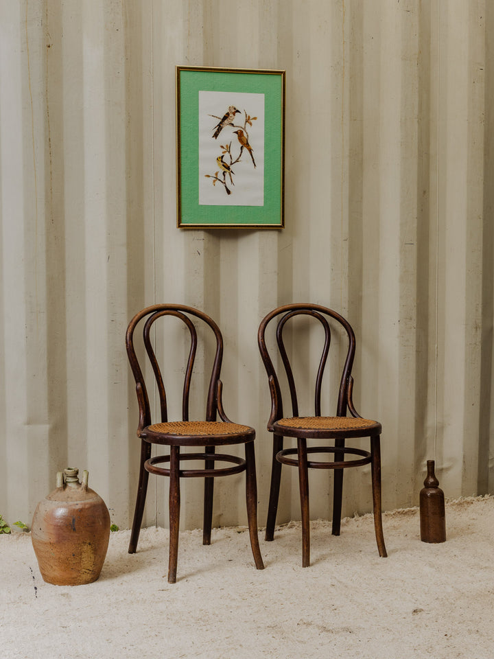 claude-chaise-bois-1240-2