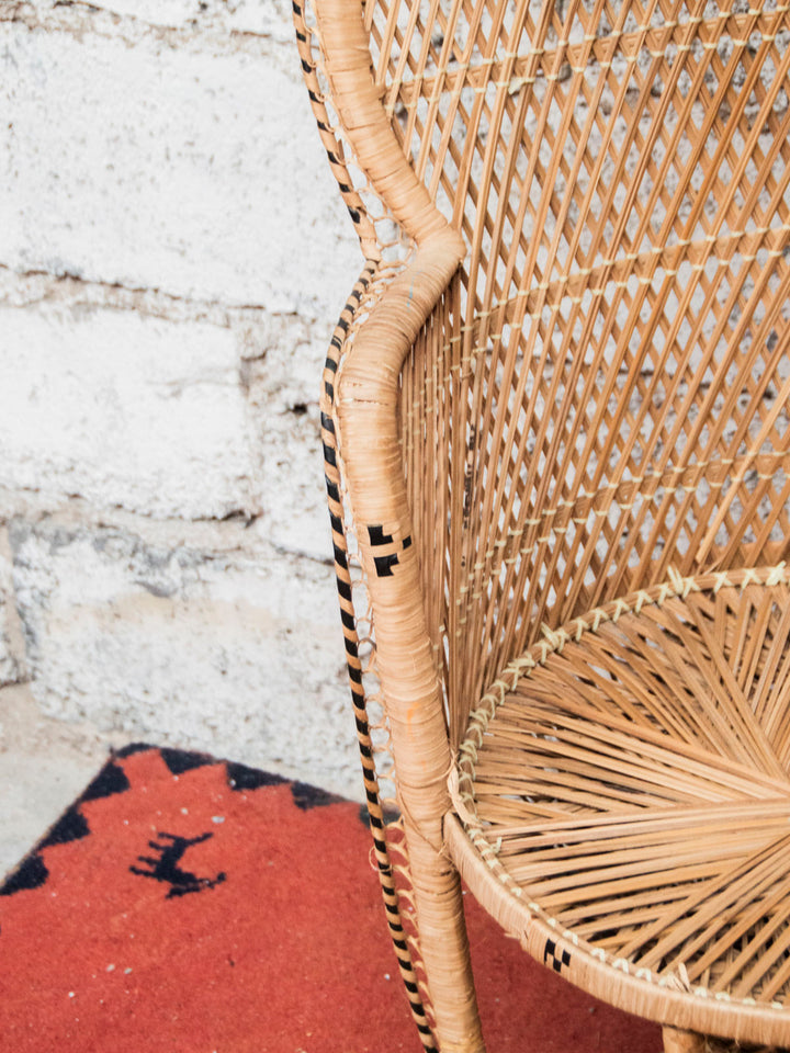 emmanuel-fauteuil-rotin-16-11