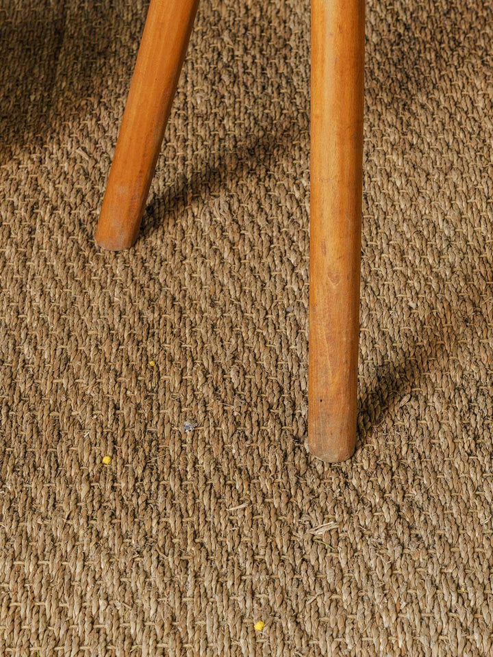 antoine-banc-bois-337-7