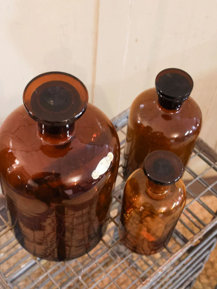 ambroise-panier-verre-824-7