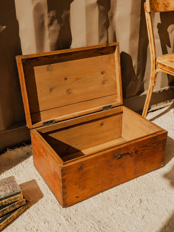 lucien-coffre-bois-170-6