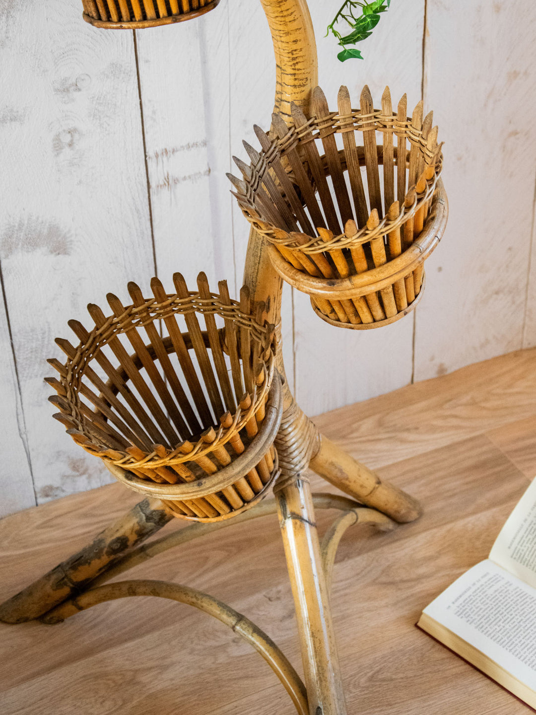 ariel-porte-plante-bambou-477-3