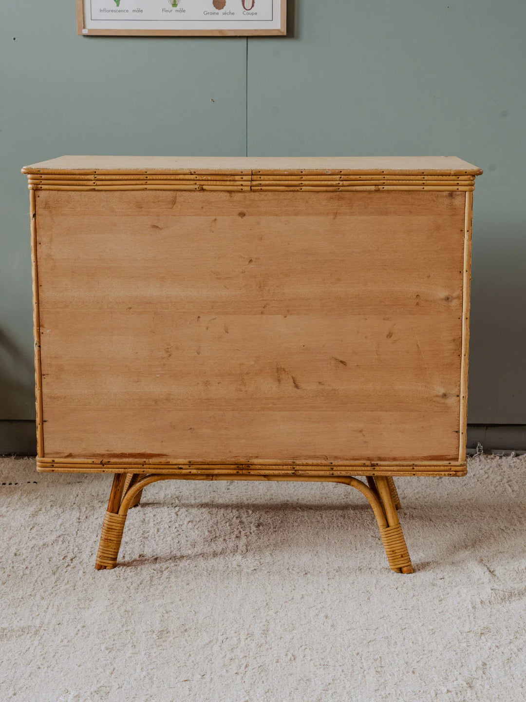 gustave-buffet-osier-539-10