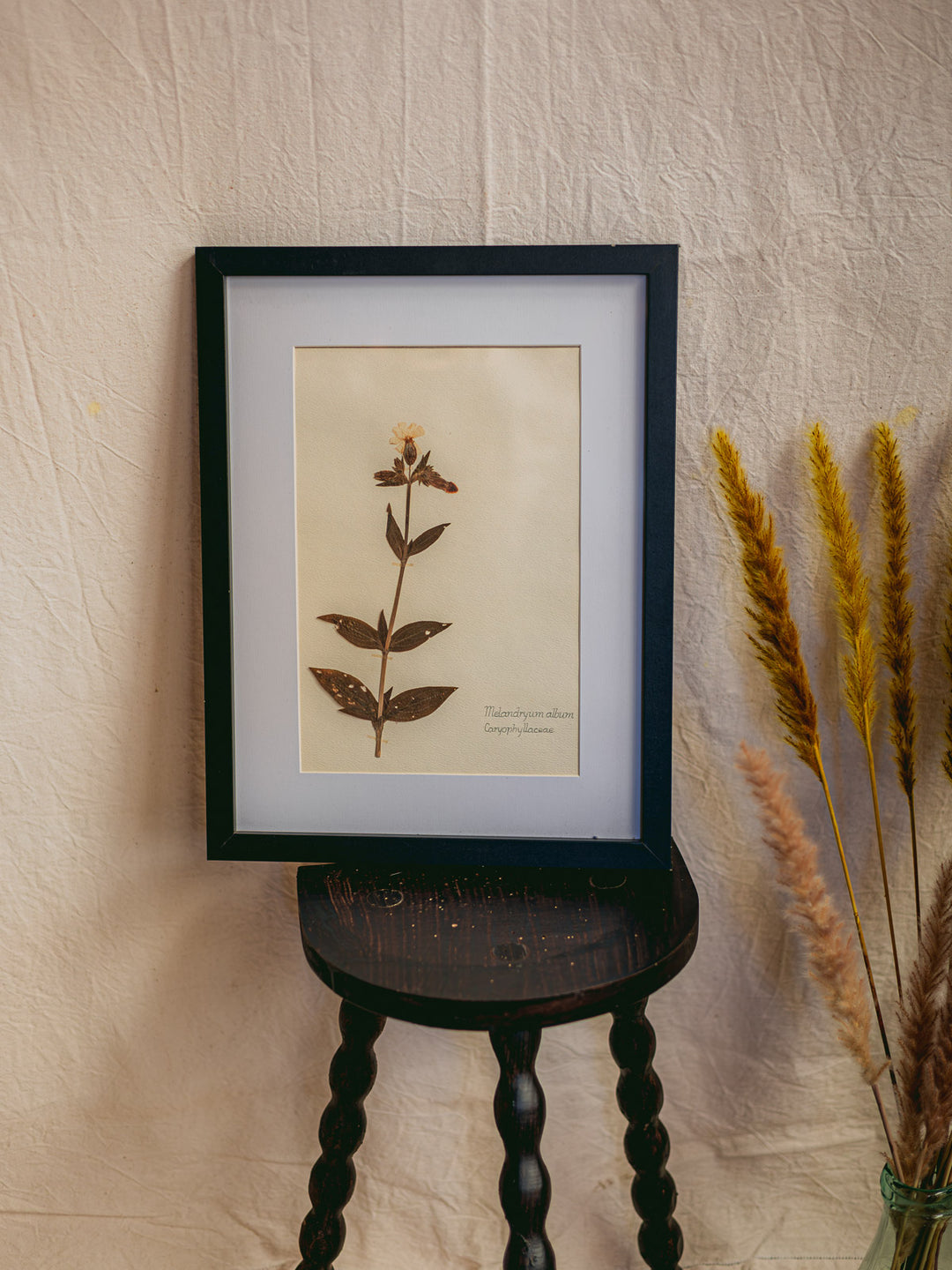 nina-herbier-423-3