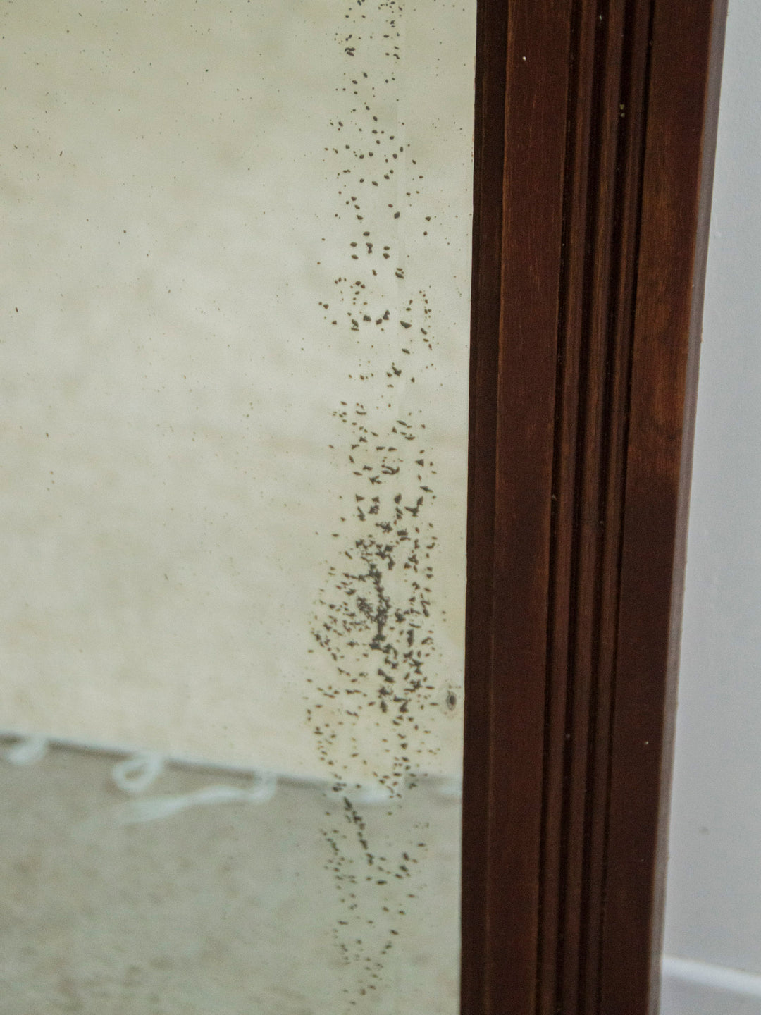 georges-miroir-bois-830-7