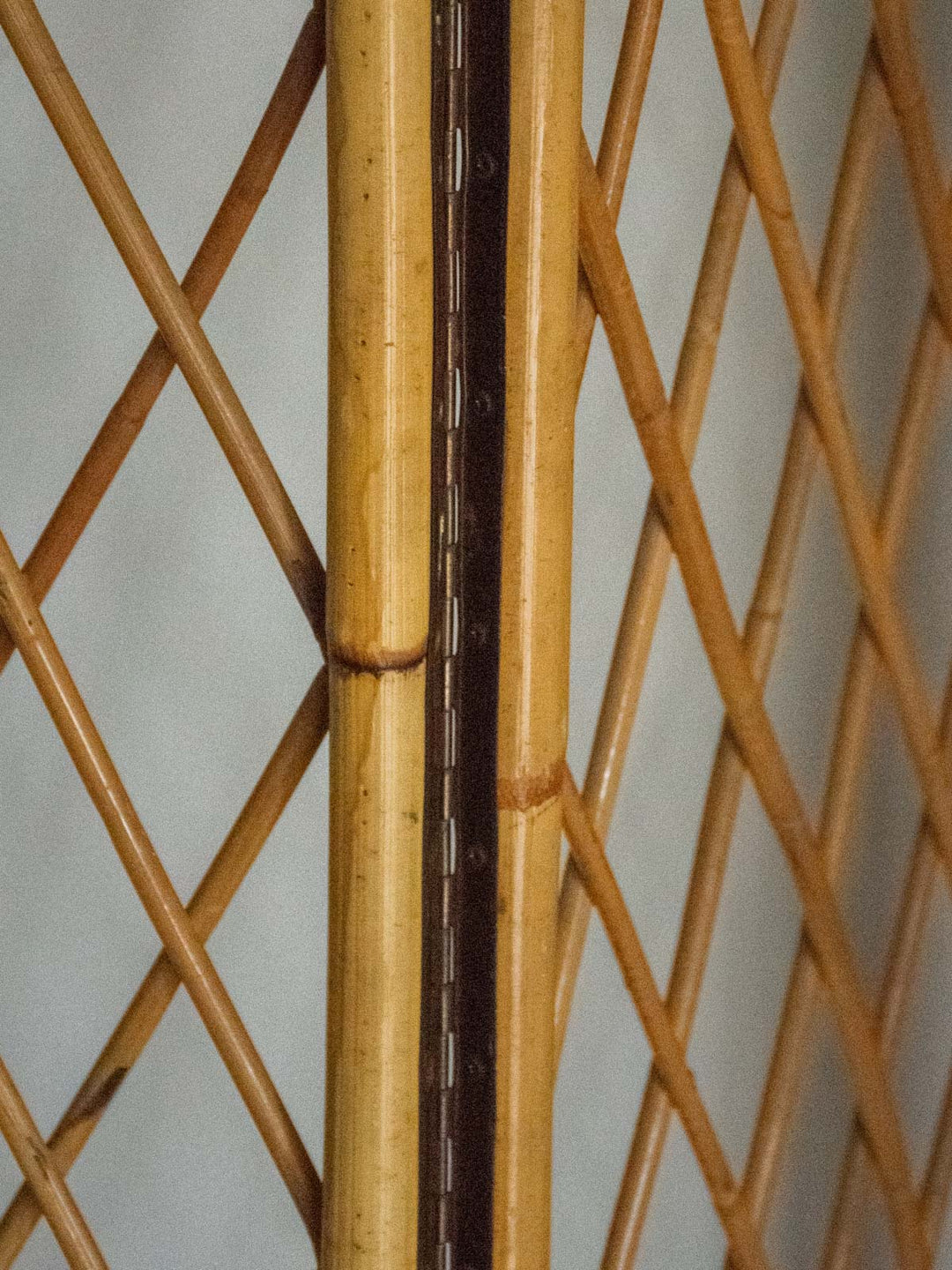 felix-paravent-rotin-27-4