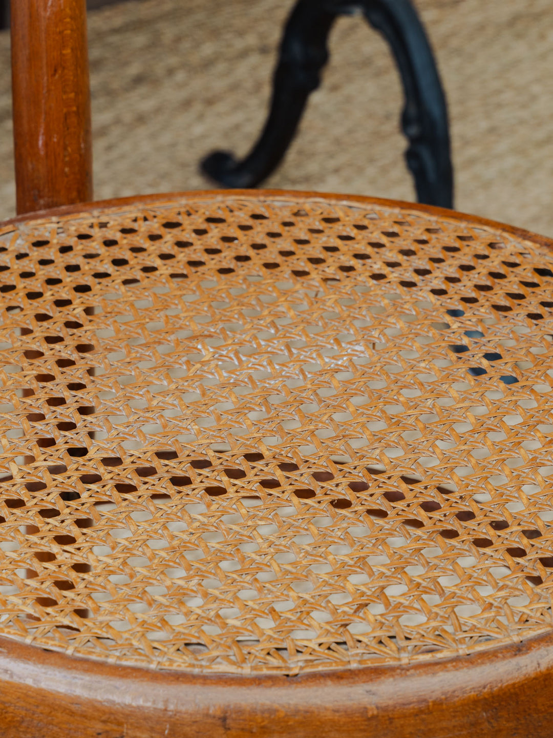 DSC07995-2.jpg