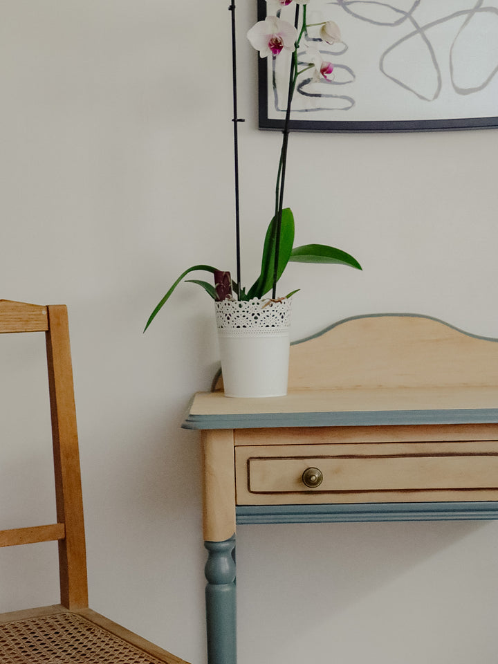 edouard-bureau-hêtre-481-5