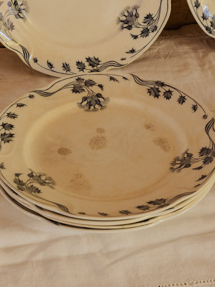 antoinette-assiette-vintage-faience-339-5