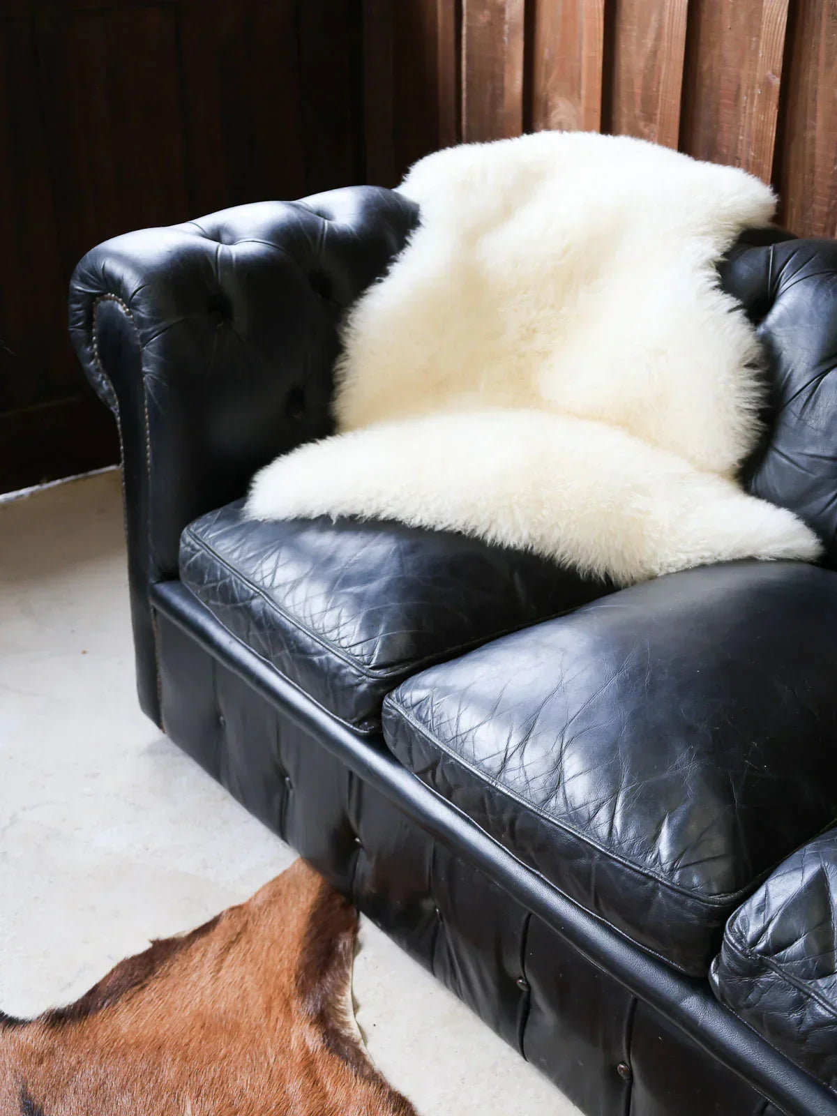jacques-canape-cuir-123-2