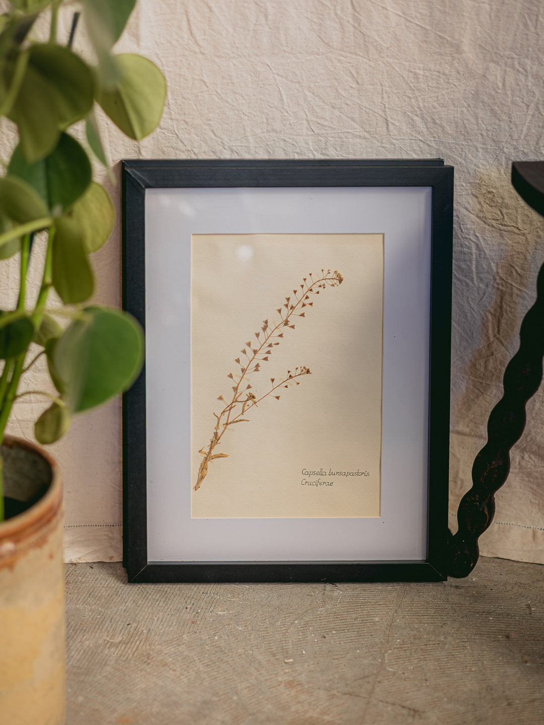 nina-herbier-425-4