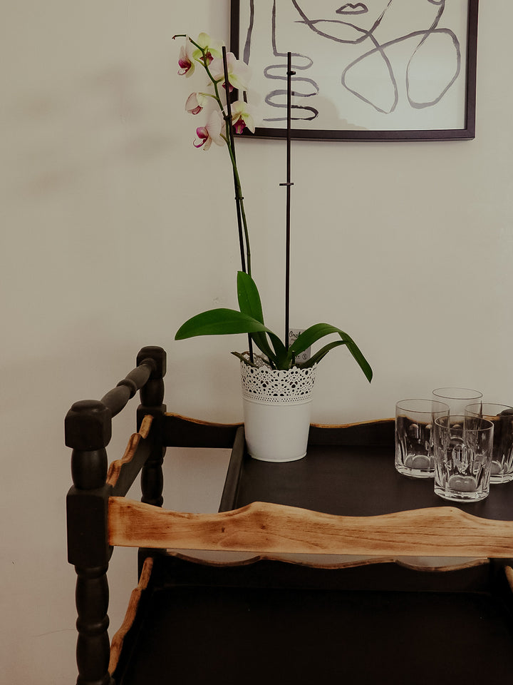 henriette-desserte-chene-133-7