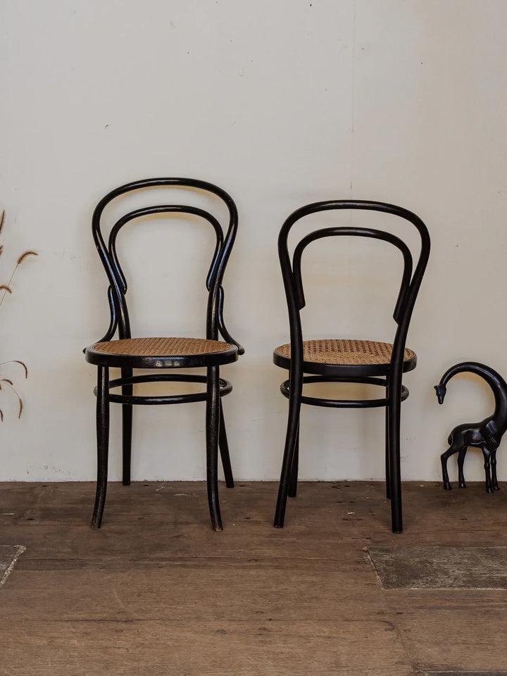 alma-chaise-bois-1363-6