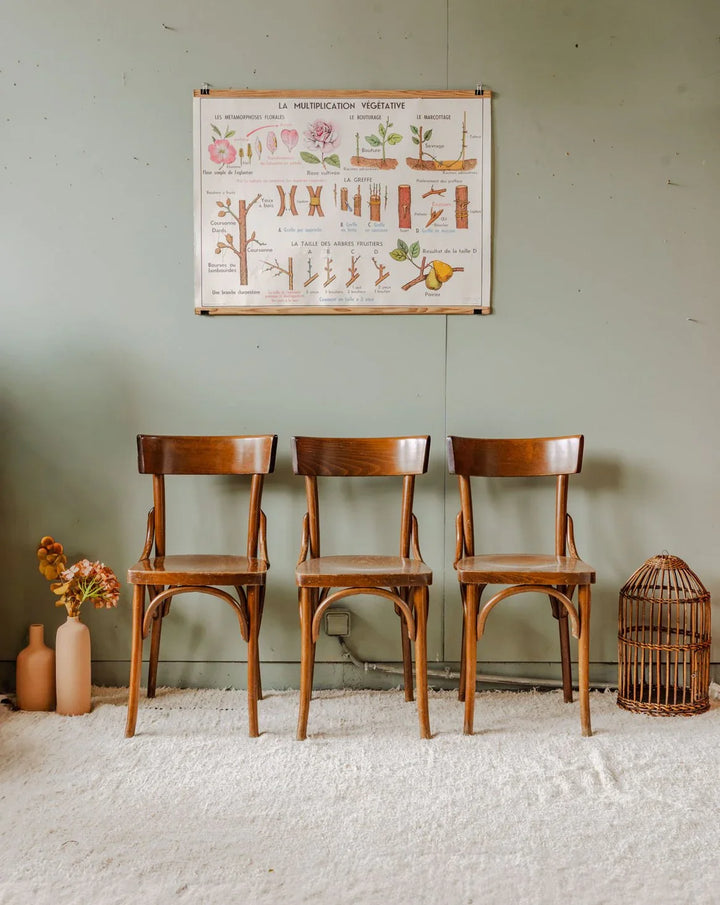 claude-chaise-bois-1060-1